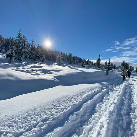 Апартаменты Neuwalder