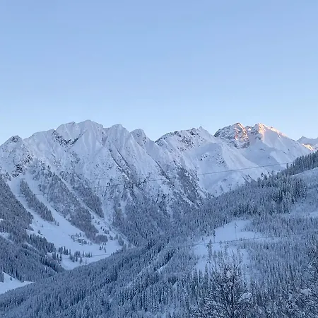 Appartamento Neuwalder Gerlos